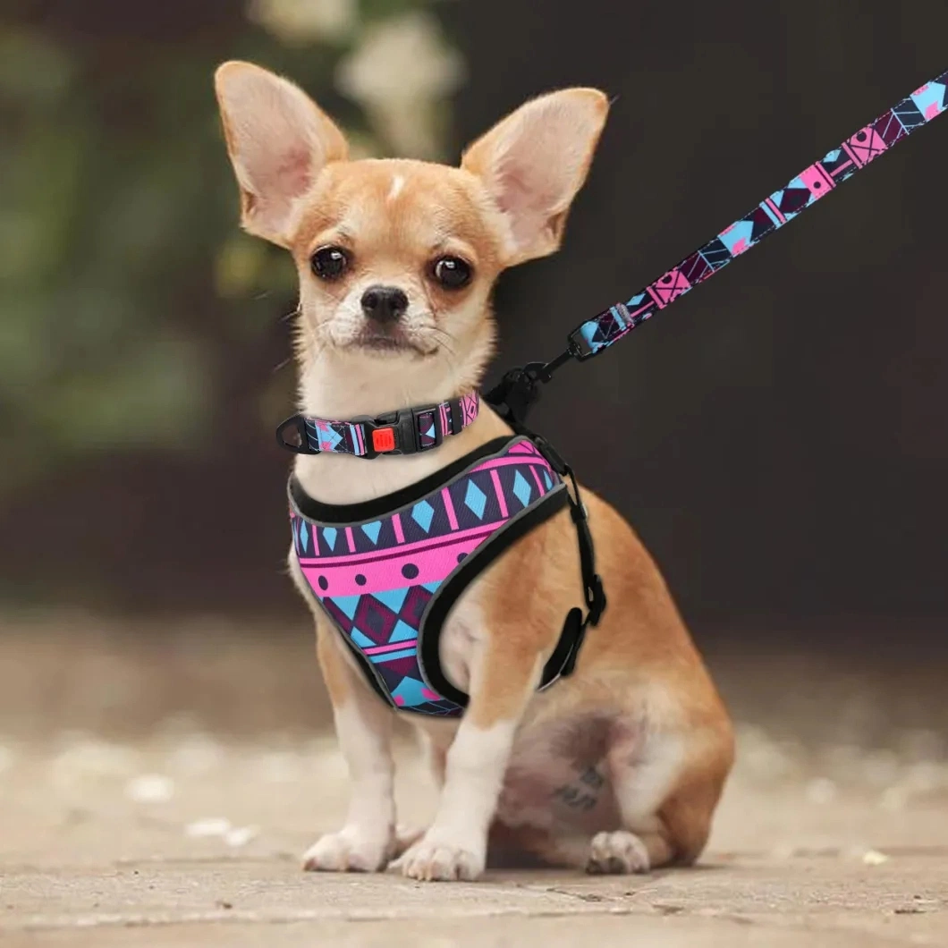 All Kinds of Design Full Sets Dog/Pets Harness Factory Price/Elite Products