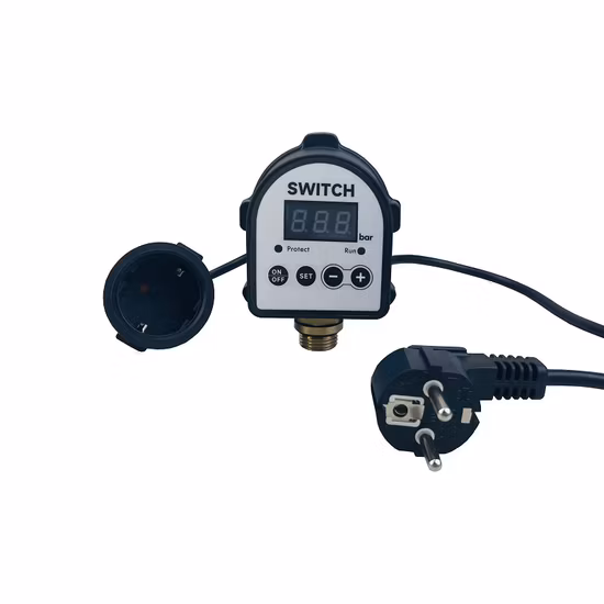 圧力制御スイッチウォーターポンプアクセサリー自動ポンプコントローラ Dps